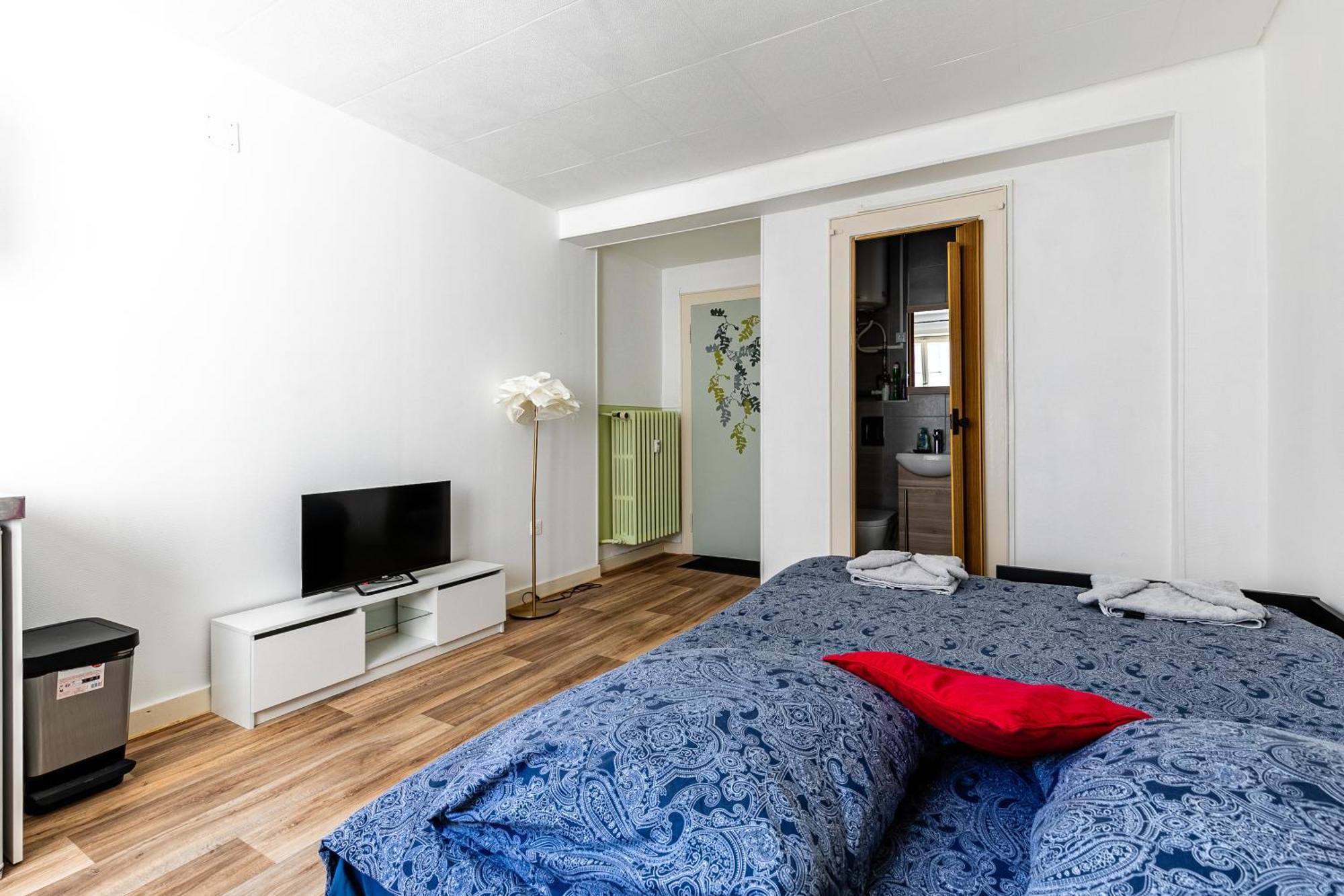 Studio Centre / Quartier Krutneau Strazburg Dış mekan fotoğraf